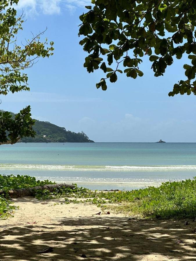 Mokara Holiday Apartment Anse Royale Esterno foto